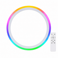 4Pack 13Inch Magic RGB Flush Mount Led Ceiling Light,34W 3400LM Dimmable with Remote Control 3000-6500K+RGB Color Changing Ceiling Light.Surface round Ceiling Lights for Bedroom Living Room (White)